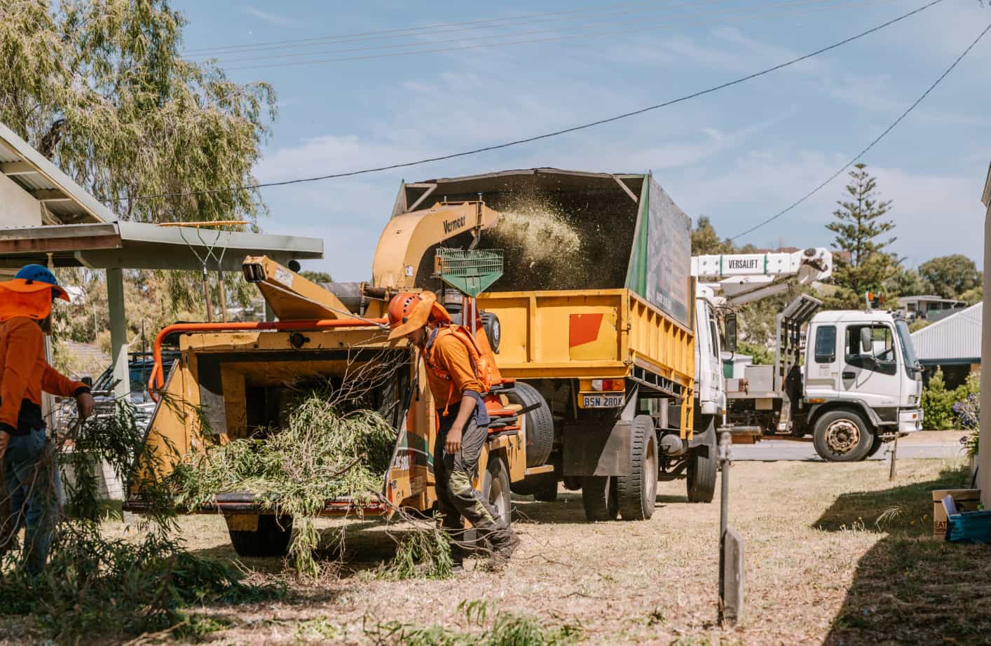 Commercial tree service