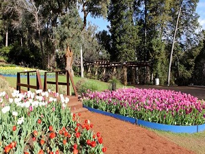 Araluen Botanic Park