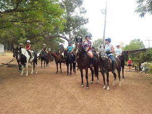 Langford Hill Riding Farm