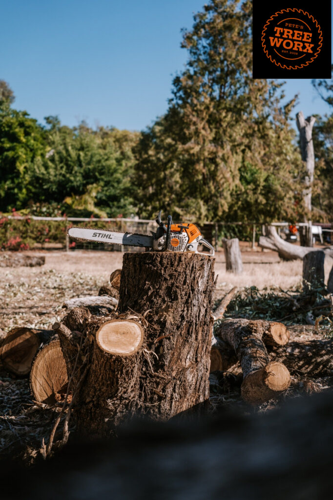 Tree Removal Barragup