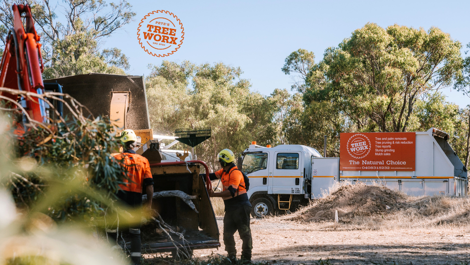 Arborist Busselton