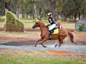 Capel Horse and Pony Club