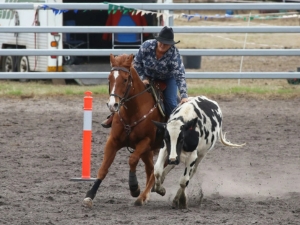 Dardanup Equestrian Centre