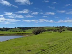 Ferguson Valley