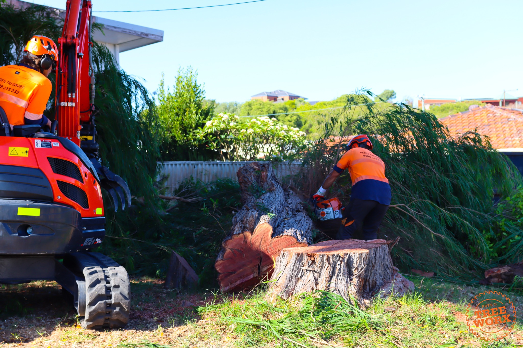 Stump Grinding Dardanup