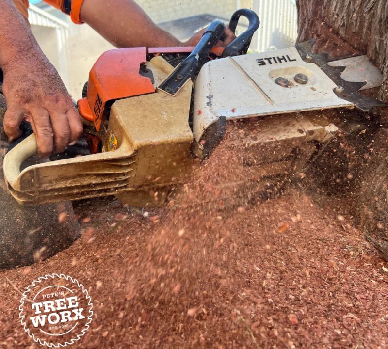 Tree services in Mandurah