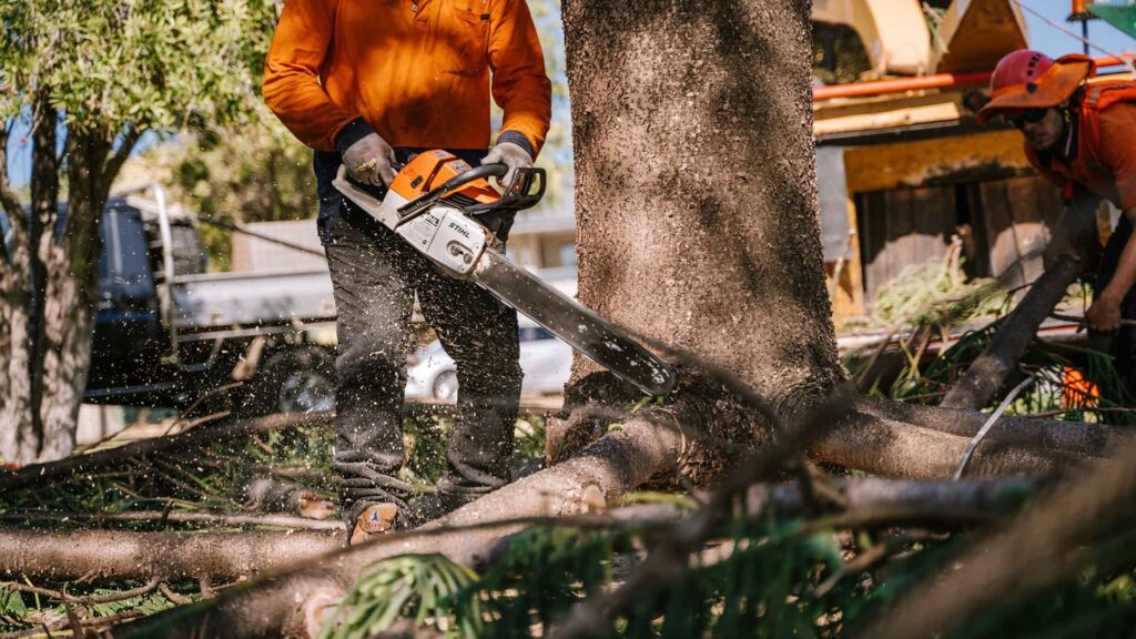 tree removal perth