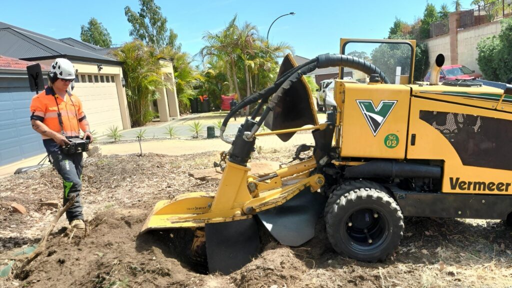 How an Arborist in Armadale Can Improve Tree Health Pete's Treeworx 2 Qualified arborists performing stump grinding in Rockingham WA
