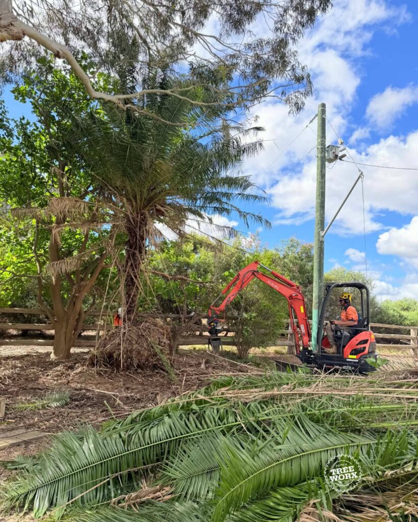 Residential block clearing services in Mandurah