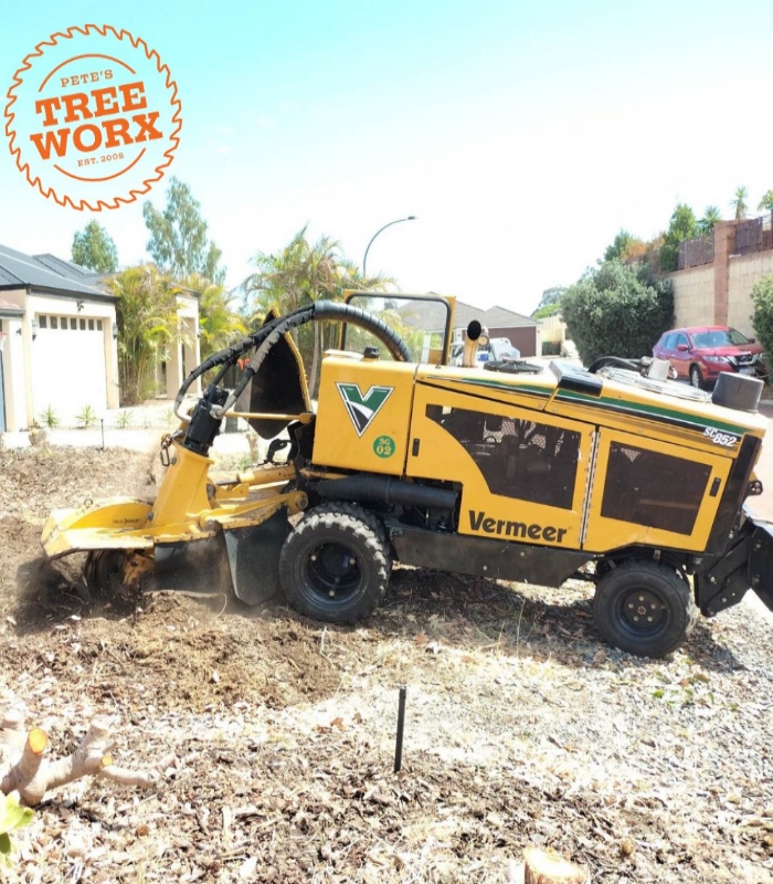 Professional stump grinding services in Mandurah WA