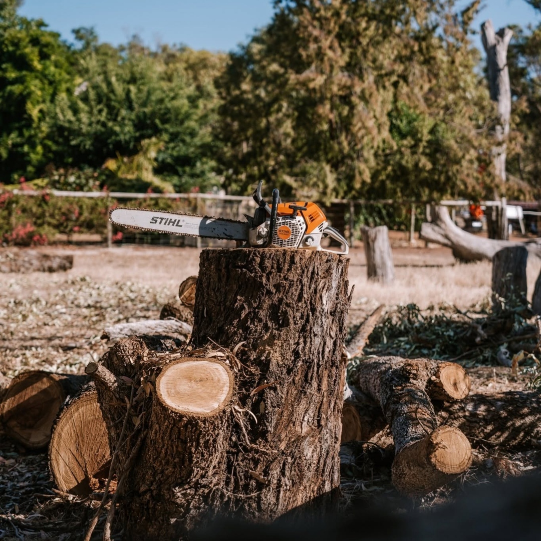 melville tree removal