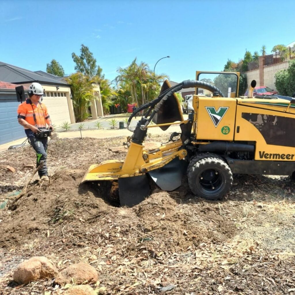 Stump grinding service in Rockingham removing leftover tree stumps from a residential property