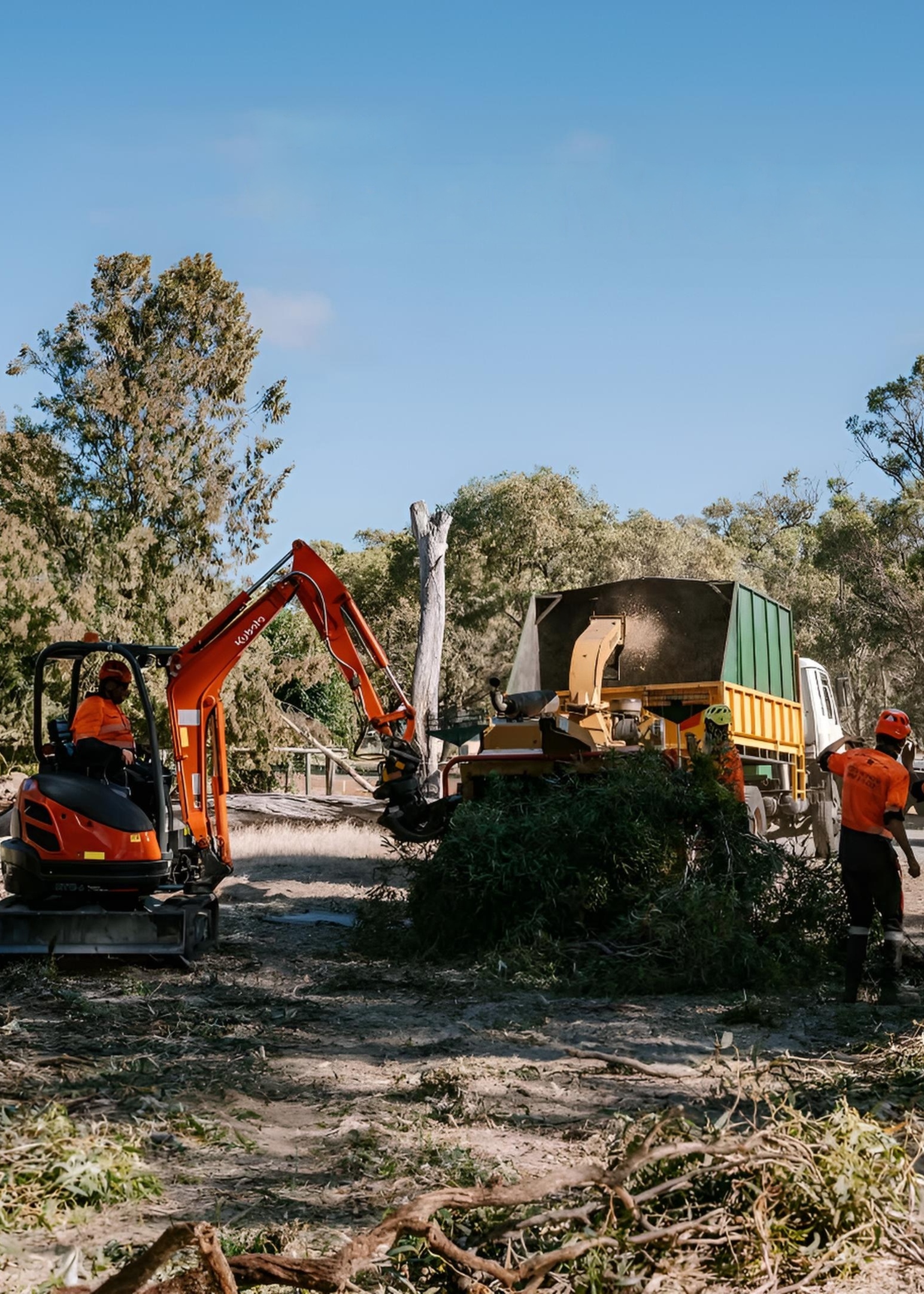 wood chipping and mulching rockingham
