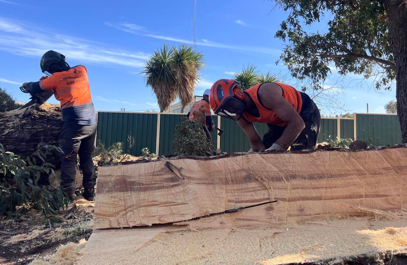 Large tree removal project completed by Pete's Treeworx in Armadale WA