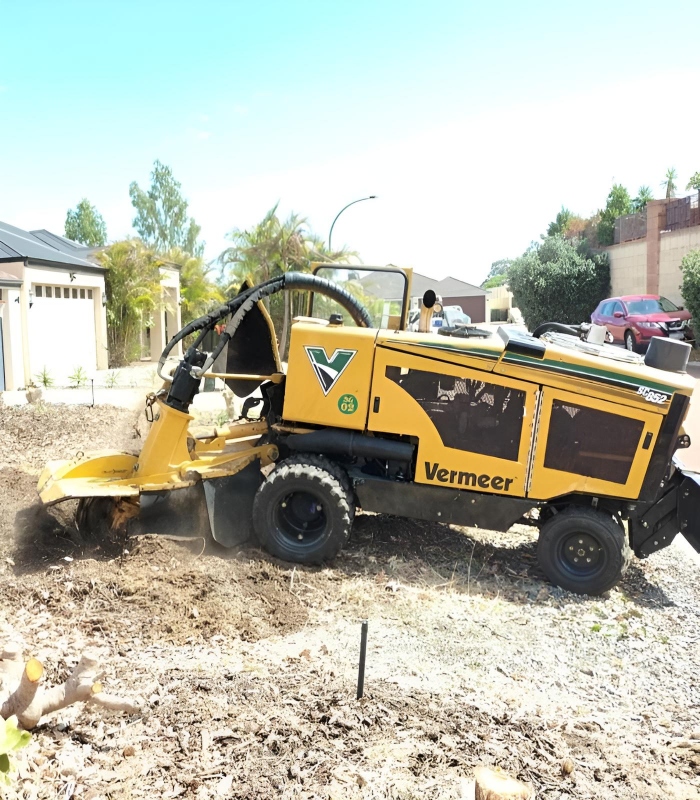 Expert stump removal and site restoration services in Armadale