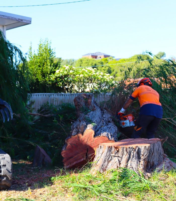 stump grinding perth